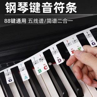 免粘贴钢琴键盘卡纸电钢琴琴键贴音符条88键61键五线谱简谱音标贴