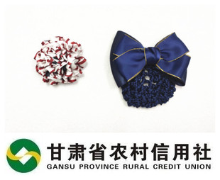 甘肃农村信用社胸花头花发网兜发饰 无标记款职业装胸花发夹套装