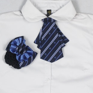 中国人寿蓝色条纹领花头花发夹套装职业装配饰设计定做免费出图样