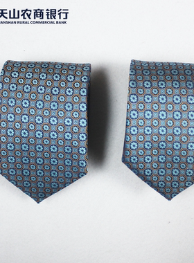 新疆农信农商男士职业装领带手打懒人易拉得拉链领带蓝色雪莲花
