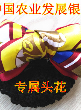 银行丝巾领结盘发网兜