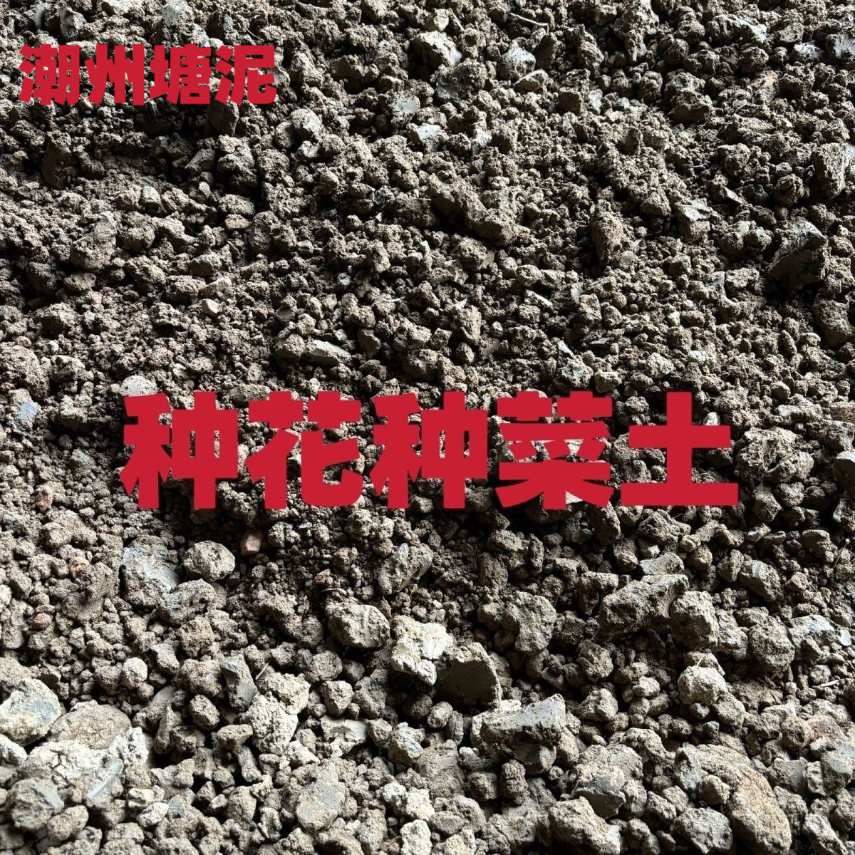 池塘有机土营养土塘泥种植土种菜种花种果树通用型泥土纯天然肥沃