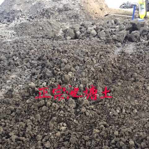 池塘土塘泥鱼塘土泥土种植土蔬菜介质/营养土
