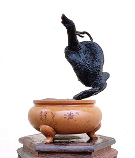 老鸭柿黄金朴树黄荆舍利镂空疙瘩老桩盆景盆栽绿植微直播看货