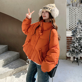 【新品现货】50绒短款羽绒服B228-A672-P250控368，女装羽绒服，浙宝228