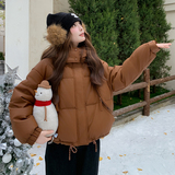 【新品现货】B228-A666蛋白皮50绒皮衣加厚羽绒服P270K408，女装羽绒服，浙宝228