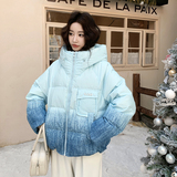 【新品现货】晕染渐变色50绒羽绒服B228-A665-P260控388，女装羽绒服，浙宝228