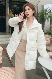 现货 3色选 跑量 高品质减龄款羽绒服 228-A117-P215控298图片