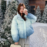 【现货】晕染渐变色50绒立领羽绒服B228-A667-P250控368，女装羽绒服，浙宝228