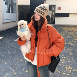 【新品现货】50绒短款羽绒服B228-A672-P250控368，女装羽绒服，浙宝228