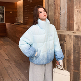 【新品现货】晕染渐变色50绒立领羽绒服B228-A667-P250控368，女装羽绒服，浙宝228