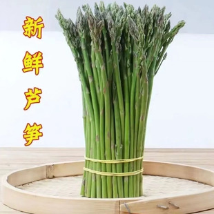 毛毛笋 长度20厘米 最细芦笋 适合宝宝辅食 包饺子专用 新鲜芦笋