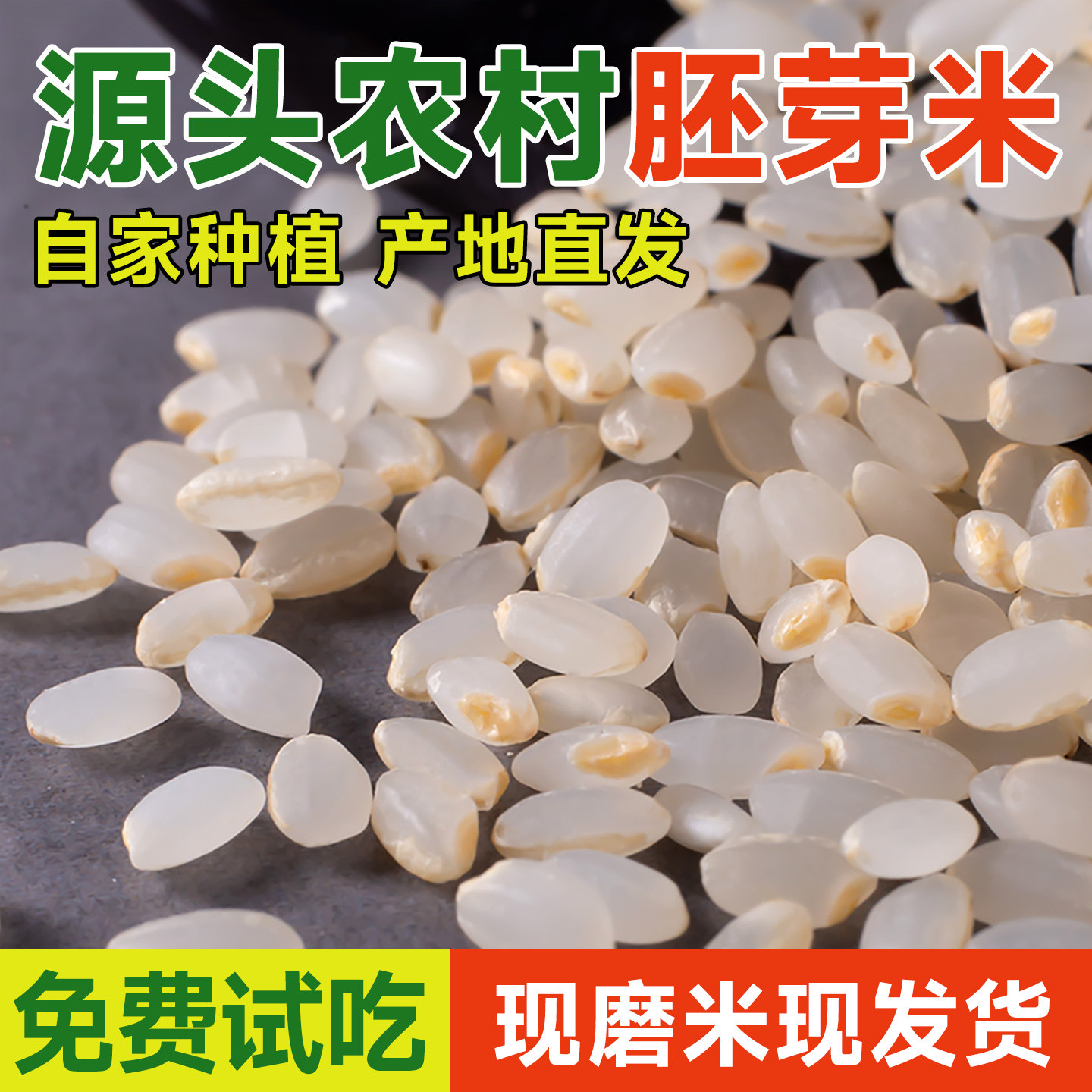 胚芽米2025年新米正宗米油煮粥粳米东北大米补津液珍珠米宝宝五斤