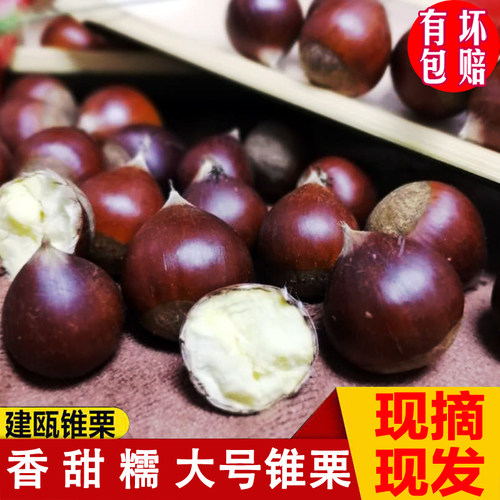 找我们送开口器现摘现发原产地