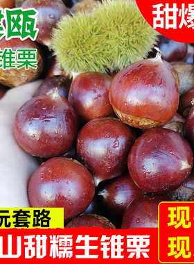板栗生新鲜2025高山油锥栗圆栗野生毛尖栗子建瓯锥栗孕妇水果现摘