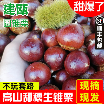 坏果包赔付顺丰包邮现摘建瓯锥栗