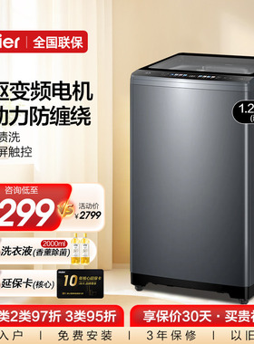 【官仓】海尔双动力波轮洗衣机10kg大容量家用全自动直驱除菌659
