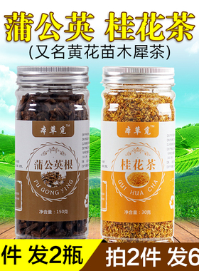 蒲公英桂花茶黄花苗木犀茶浦公根和加岩桂黄桂花组合泡茶木樨茶