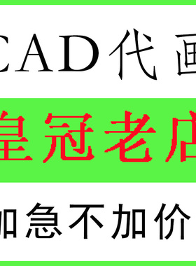 CAD代画建筑室内手绘临摹照画制图装修代做平面布置家装设计图纸