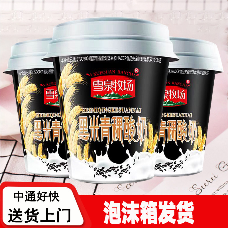 雪泉牧场青稞黑米酸奶12盒宁夏