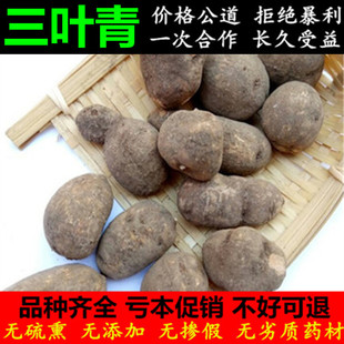 中药材 野生三叶青 浙江金线吊葫芦 新鲜干货 散装 包邮 500g