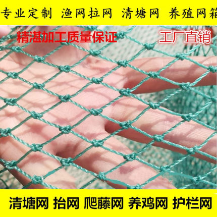 渔网定制养殖网箱渔网拉网隔断网网箱式抬网鱼网片绿色包邮养鸡网