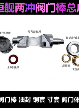 恒舰两冲原厂发动机排气控制阀棒开关螺丝阀门隆鑫MT250通用总成