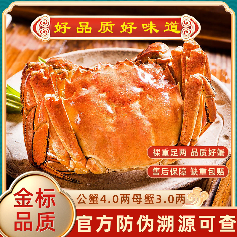 活蟹裸重大闸蟹特大公4两母3两8只官方旗舰海鲜水产礼盒清水塘养