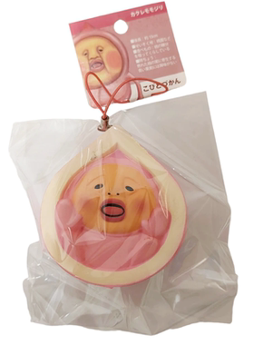 日本正版中古玩具农场精灵