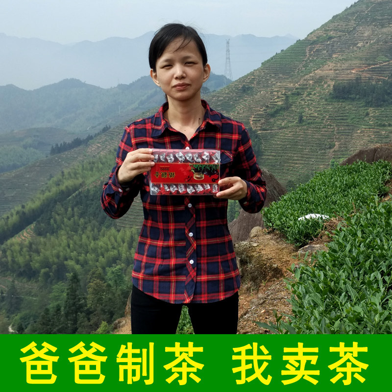 2026新茶安溪铁观音茶叶 纯手工浓香型铁观音 高山新枞观音王500g