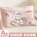儿童牛奶绒枕套冬季 宝宝30x50小枕头套40x60小尺寸枕芯套加绒加厚