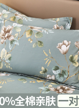 纯棉枕套一对装48cmx74cm100全棉枕头套大人单人家用男枕芯内胆套