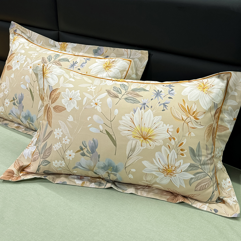 纯棉磨毛枕套48cmx74cm一对装100全棉加厚枕头套2024新款成人家用