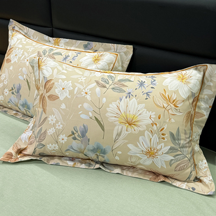 纯棉磨毛枕套48cmx74cm一对装 成人家用 100全棉加厚枕头套2024新款