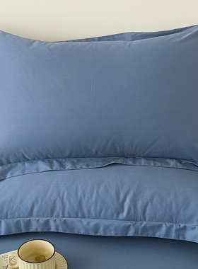 纯棉大枕套50x80成人大号大尺寸全棉枕头套加大枕芯套2025年新款.