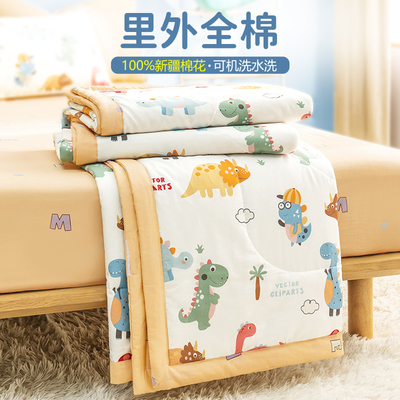 A类母婴级里外全棉棉花夏被