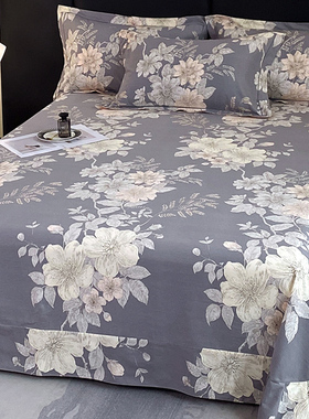 纯棉磨毛床单单件秋冬双人大床大尺寸250x270冬季全棉加厚大被单.