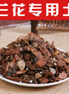 兰花专用土君子兰土蝴蝶兰土松磷