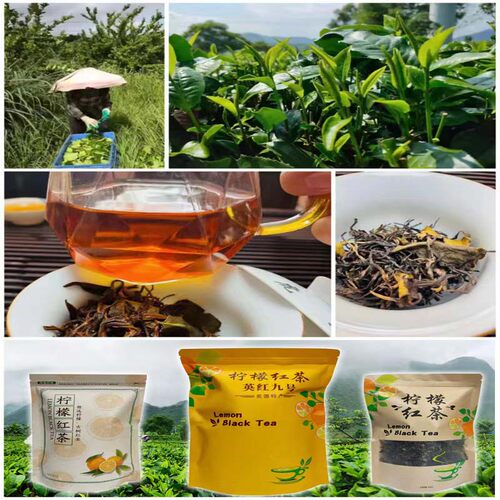 英德柠檬红茶奶茶专用柠檬红茶