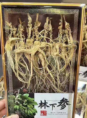 林下参礼盒纯野播籽货东北老山参轻残送礼自用都适合50克装20年+