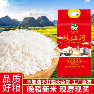 岐江河韶关南雄香米五星米2025年新米象牙丝苗米小农粘香软糯送礼