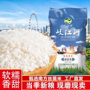 岐江河园万米业岐江河丝苗米四星14kg南方丝苗米