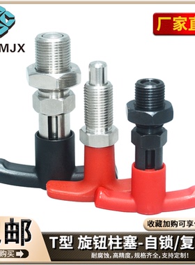 不锈钢T型手柄旋钮柱塞XNTZ/XSTZ钢制不带定位止弹簧锁分度销PTX
