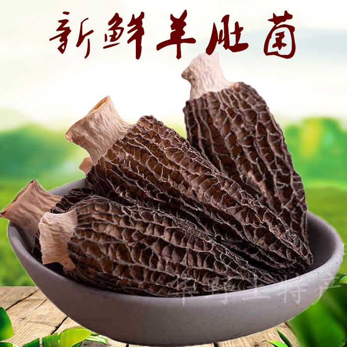 秦岭陕西略阳特产羊肚菌种植干货50克罐装煲汤袋装精选无根炖