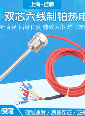 双芯双阻六线制铂热电阻