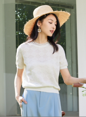 春竹/春夏新款精仿天丝针织衫圆领夏日精致短袖-DSS231E02