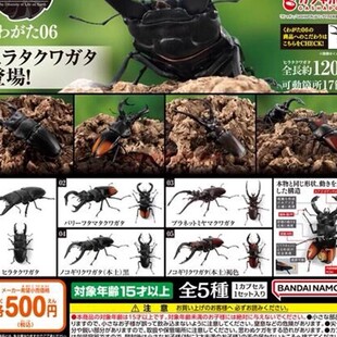 万代 扭蛋 生物大图鉴 甲虫 6 鹿角虫 锹形虫 仿真 可动手办 模型