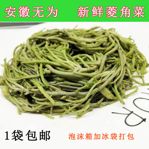 安徽蔬菜菱角菜新鲜采摘