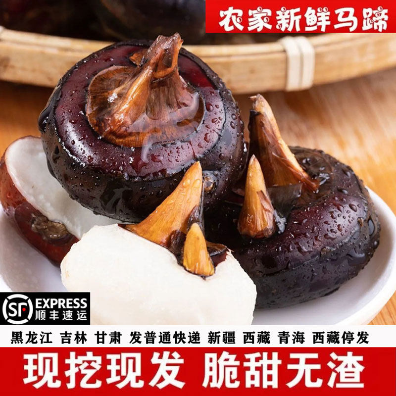 安徽无为马蹄荸荠果现挖发货包邮