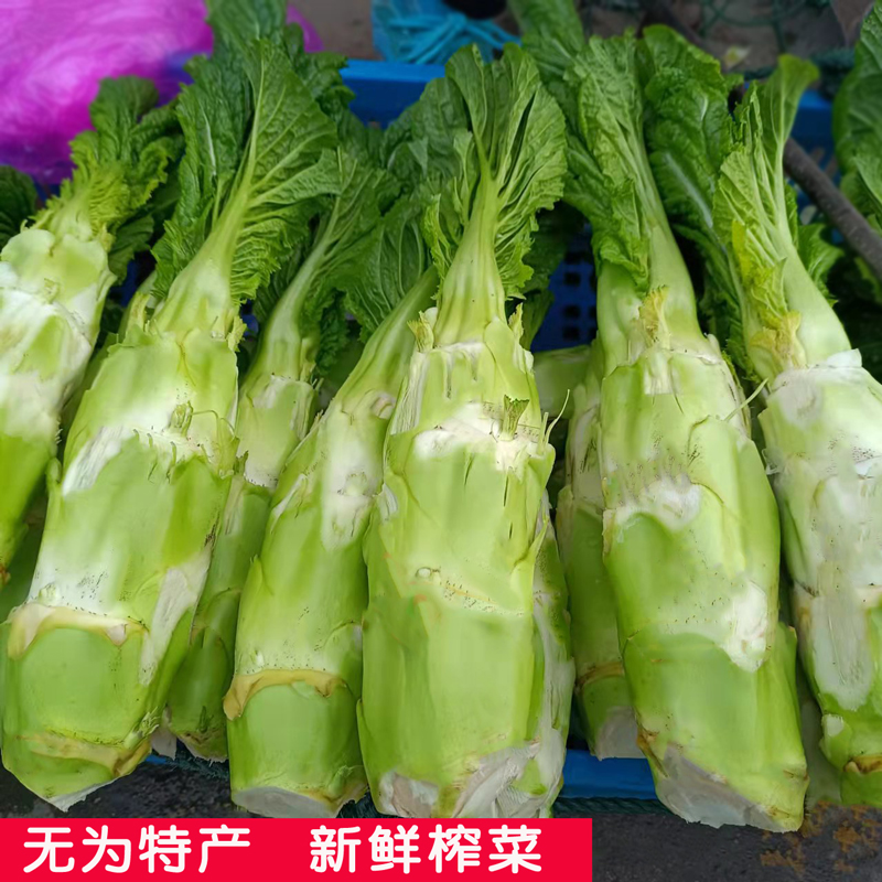 安徽无为特产新鲜蔬菜榨菜心